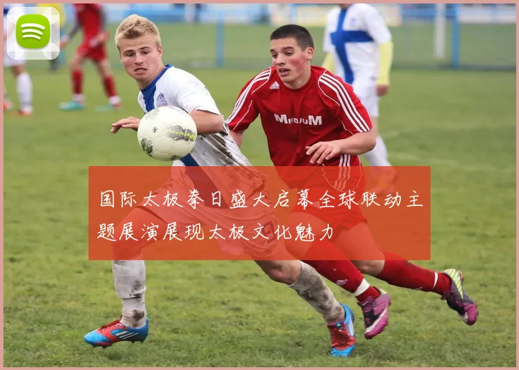 国际太极拳日盛大启幕全球联动主题展演展现太极文化魅力